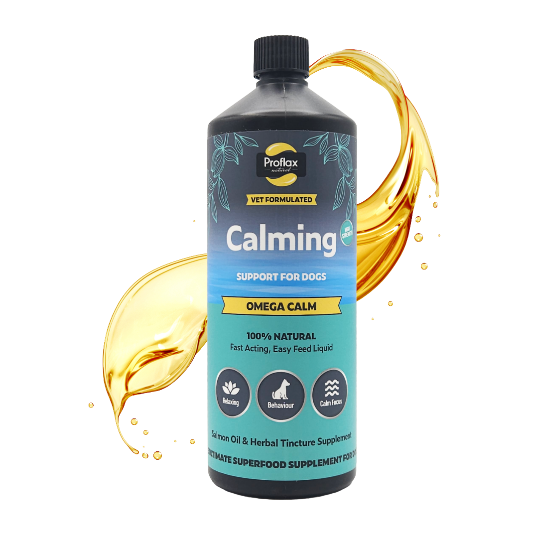 Calming Salmon Oil for Anxious Dogs - Omega Calm