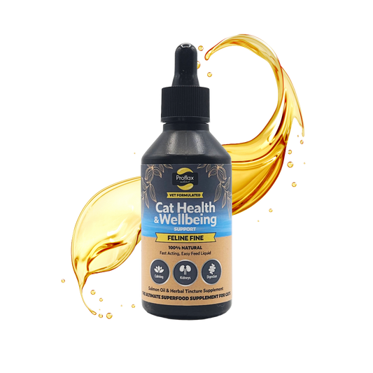 Salmon Oil Supplement for Cats - Feline Fine