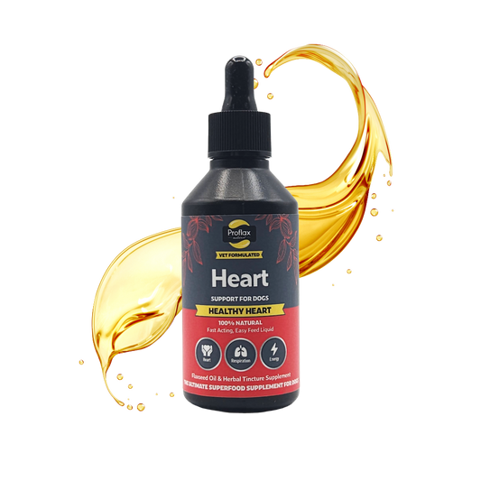 Heart & Circulation Support for Dogs - Healthy Heart