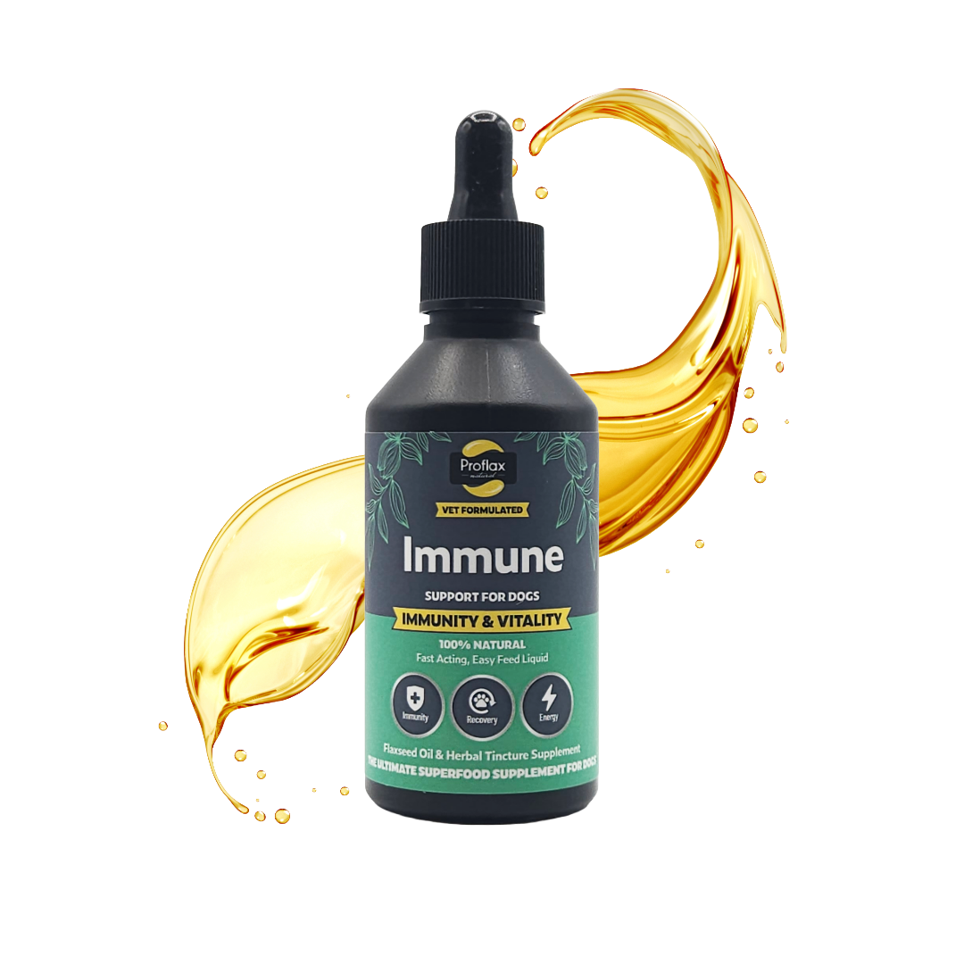 Immune & Energy Support for Dogs