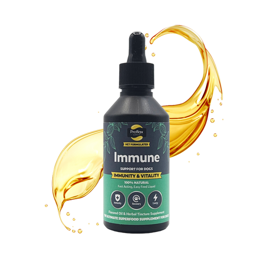 Immune & Energy Support for Dogs