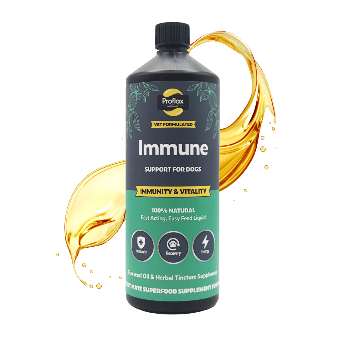 Immune & Energy Support for Dogs