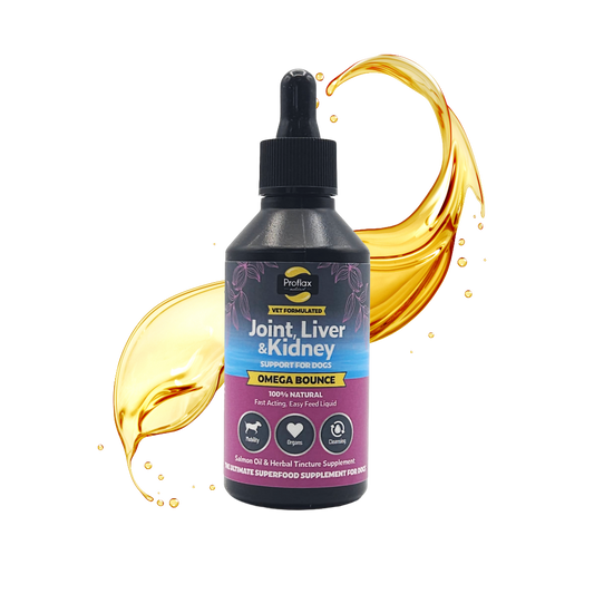 Salmon Oil for Joint & Mobility Support - Omega Bounce