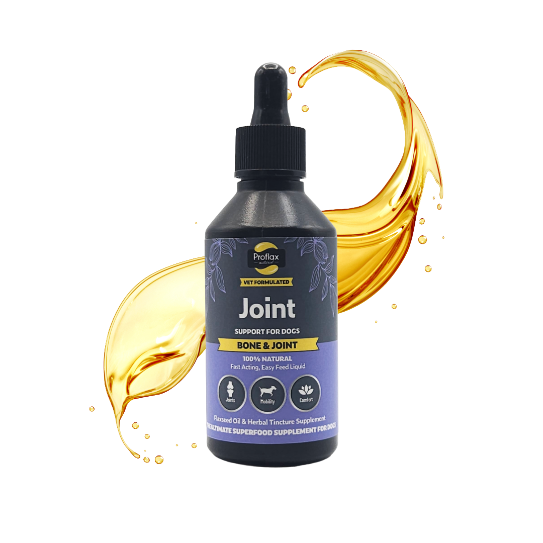 Bone, Joint & Mobility Support for Dogs