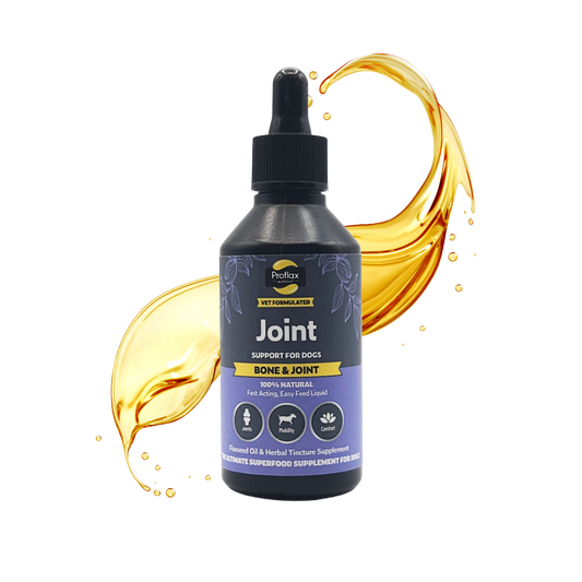 Bone, Joint & Mobility Support for Dogs
