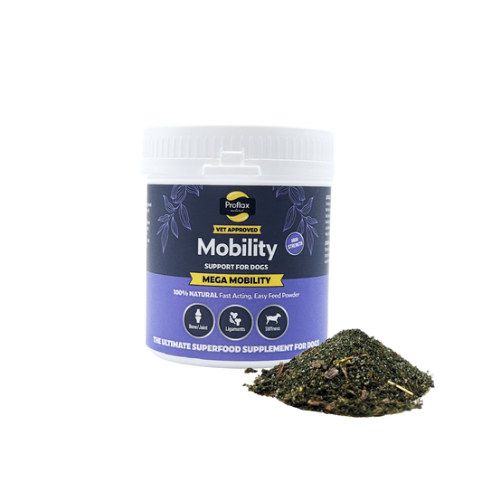Joint & Mobility Blend for Dogs - Mega Mobility