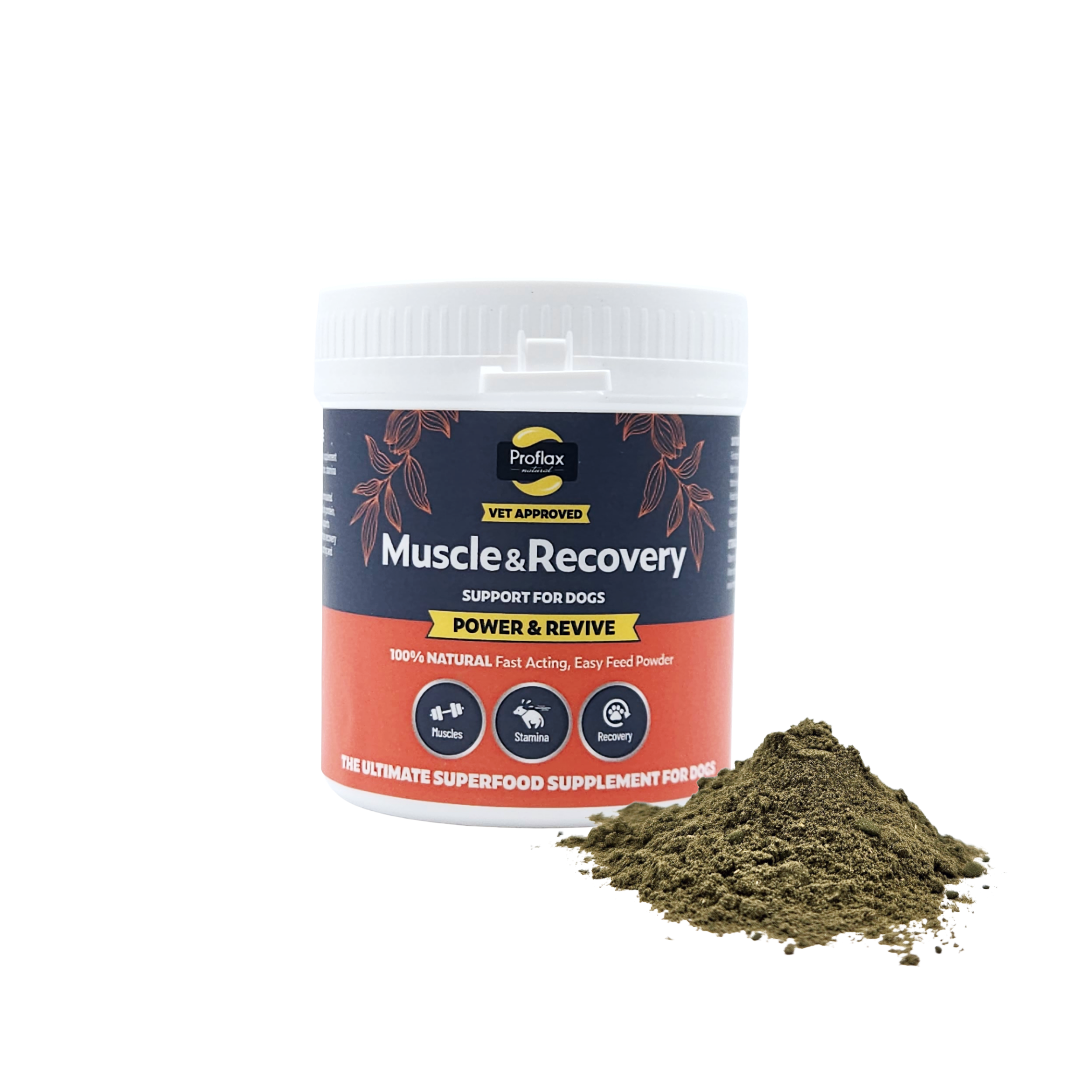 Muscle & Recovery Support for Dogs - Power & Revive