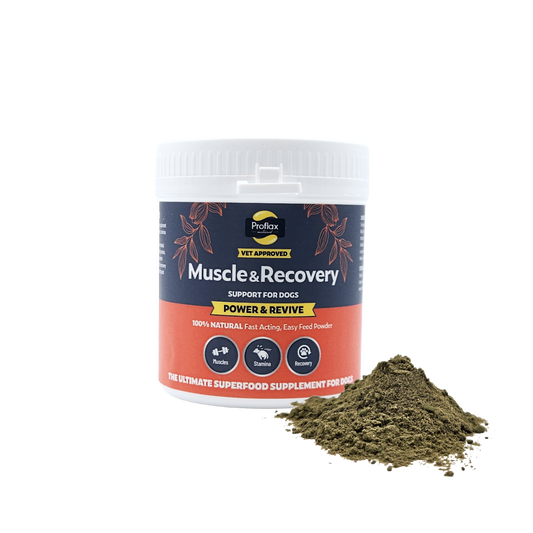 Muscle & Recovery Support for Dogs - Power & Revive
