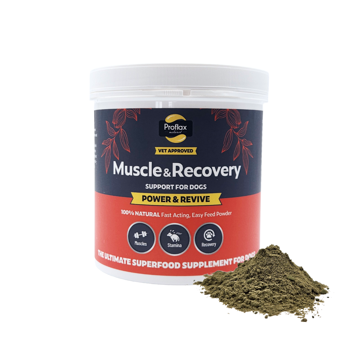 Muscle & Recovery Support for Dogs - Power & Revive