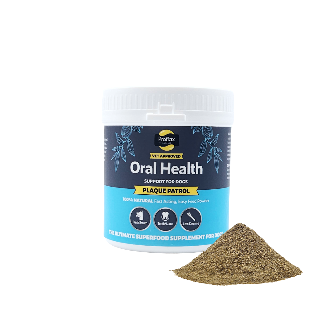 Healthy Teeth & Gums for Dogs - Plaque Patrol