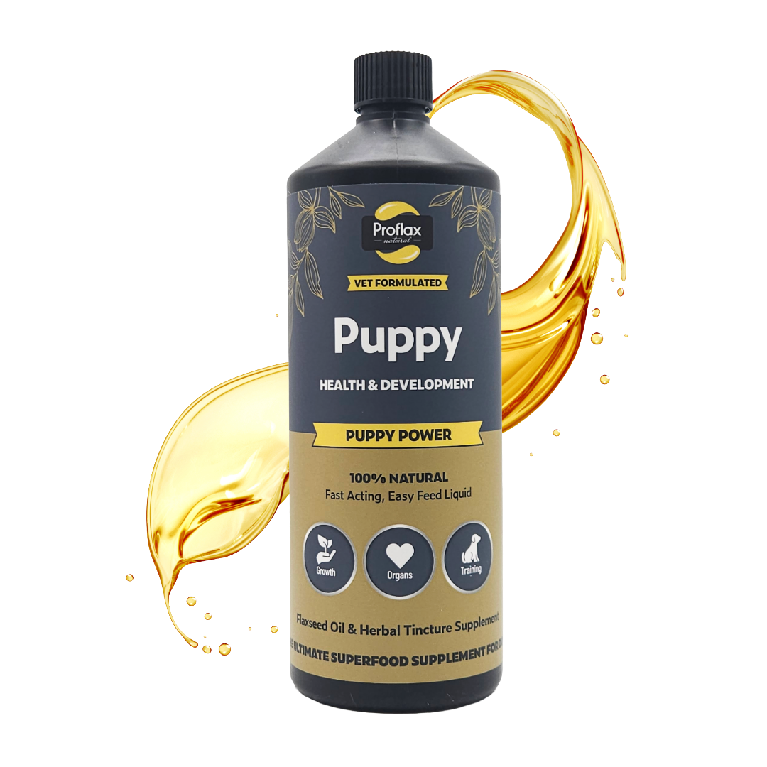 Puppy Digestion & Growth Support - Puppy Power