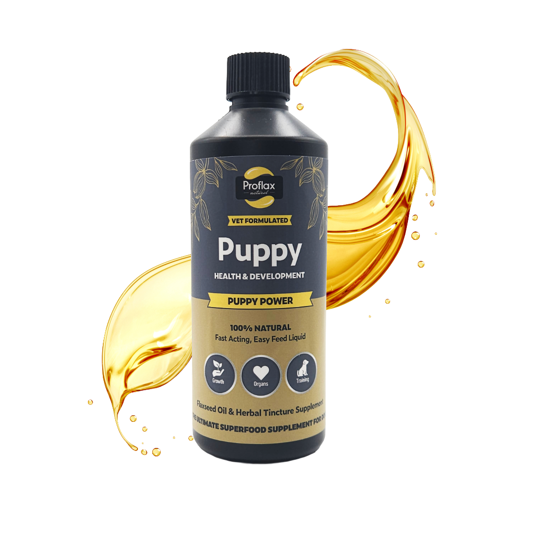 Puppy Digestion & Growth Support - Puppy Power