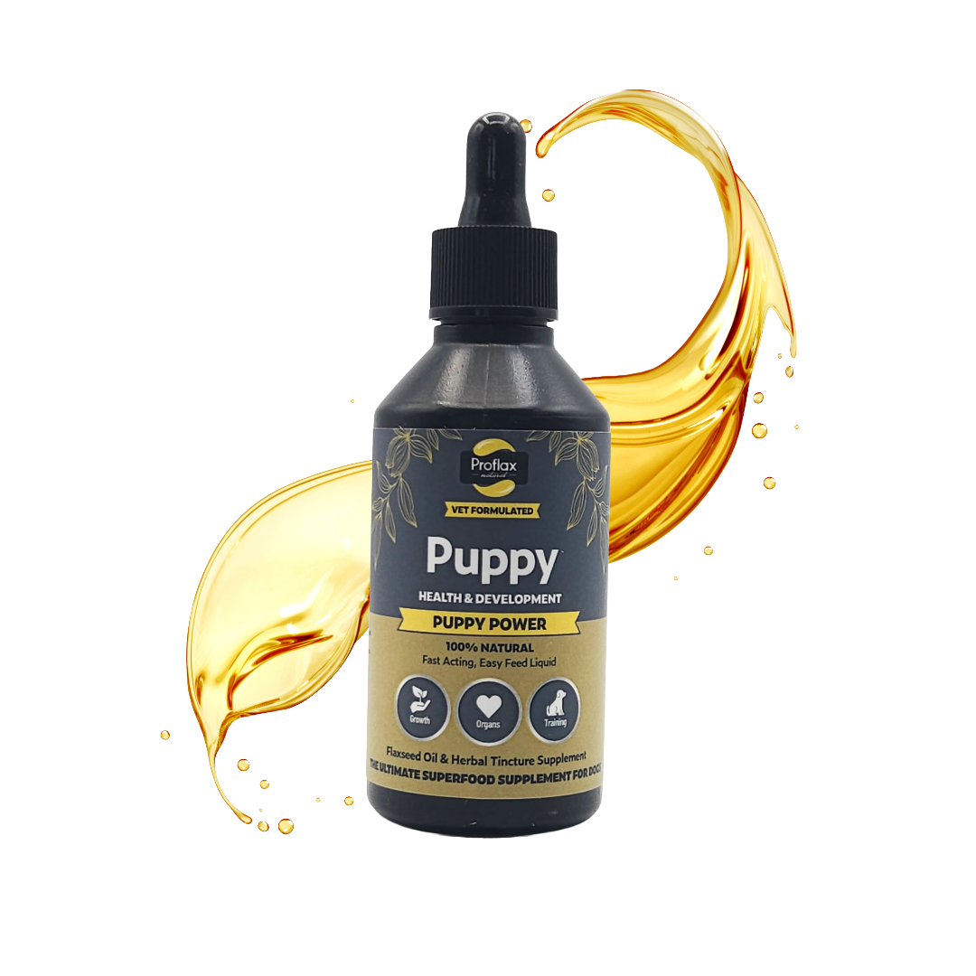 Puppy Digestion & Growth Support - Puppy Power