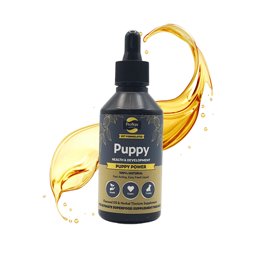 Puppy Digestion & Growth Support - Puppy Power