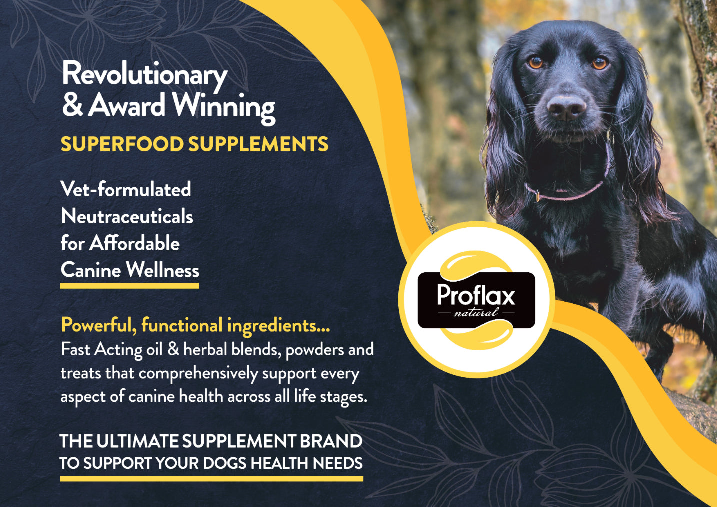 Proflax Natural