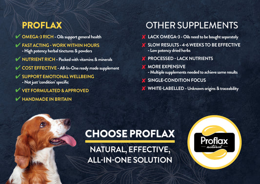 Proflax