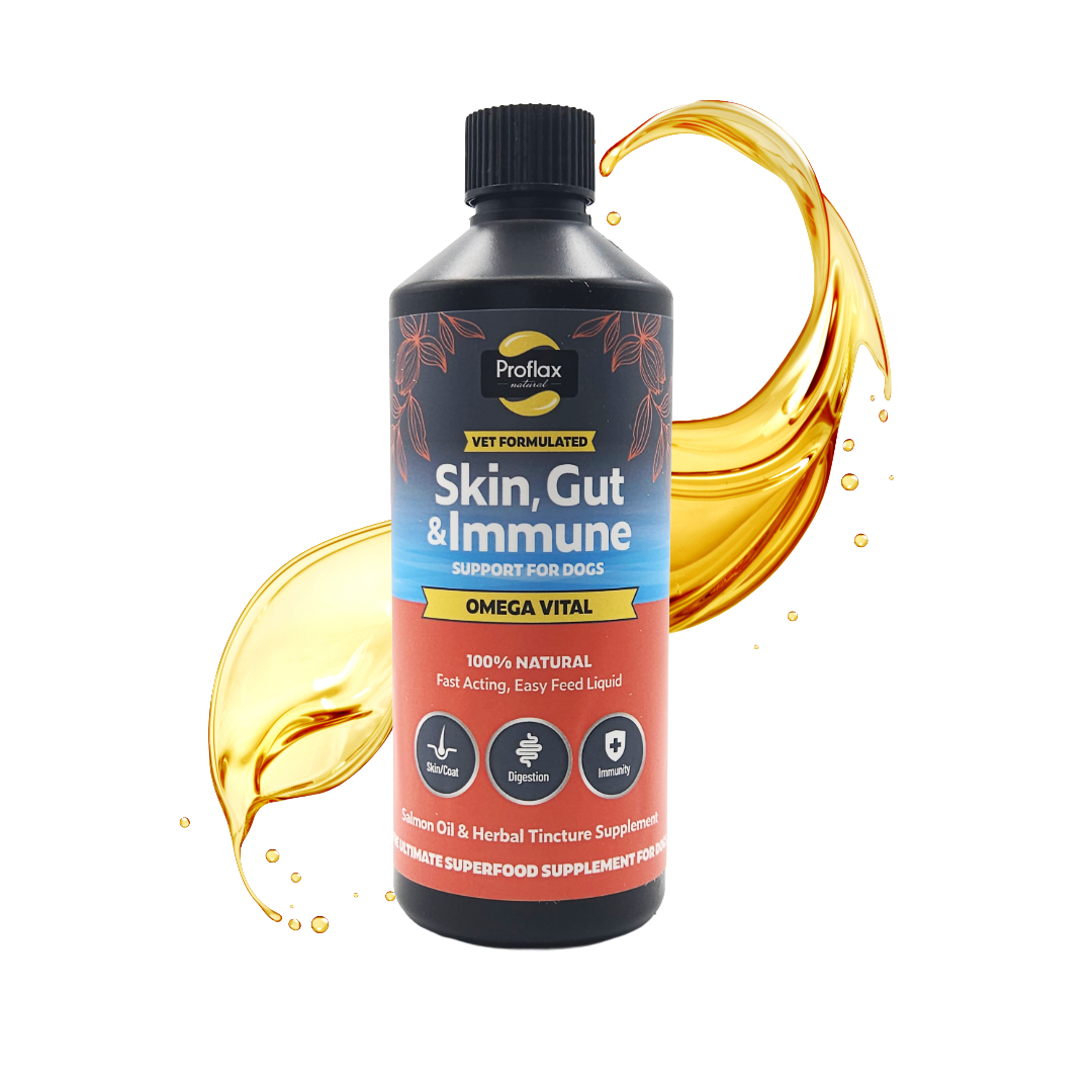 Salmon Oil for Skin & Gut Health - Omega Vital