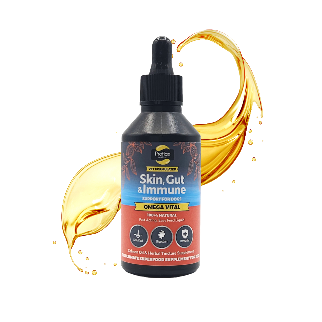 Salmon Oil for Skin & Gut Health - Omega Vital