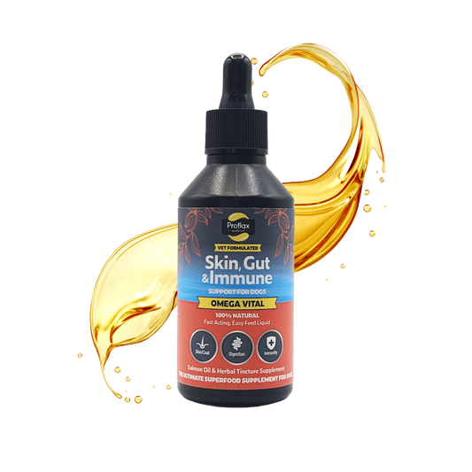 Salmon Oil for Skin & Gut Health - Omega Vital