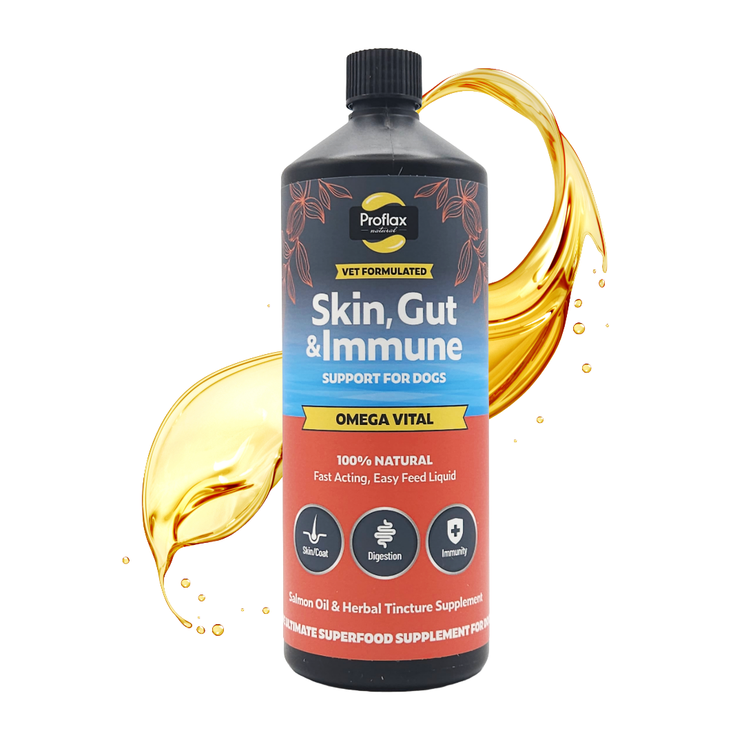 Salmon Oil for Skin & Gut Health - Omega Vital