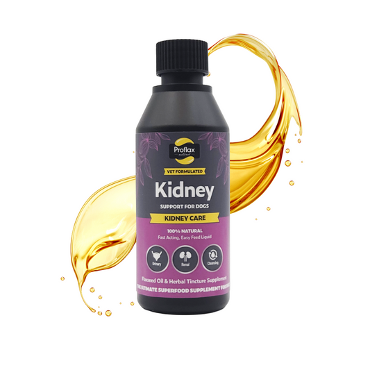 Kidney & Urinary Support for Dogs - Kidney Care
