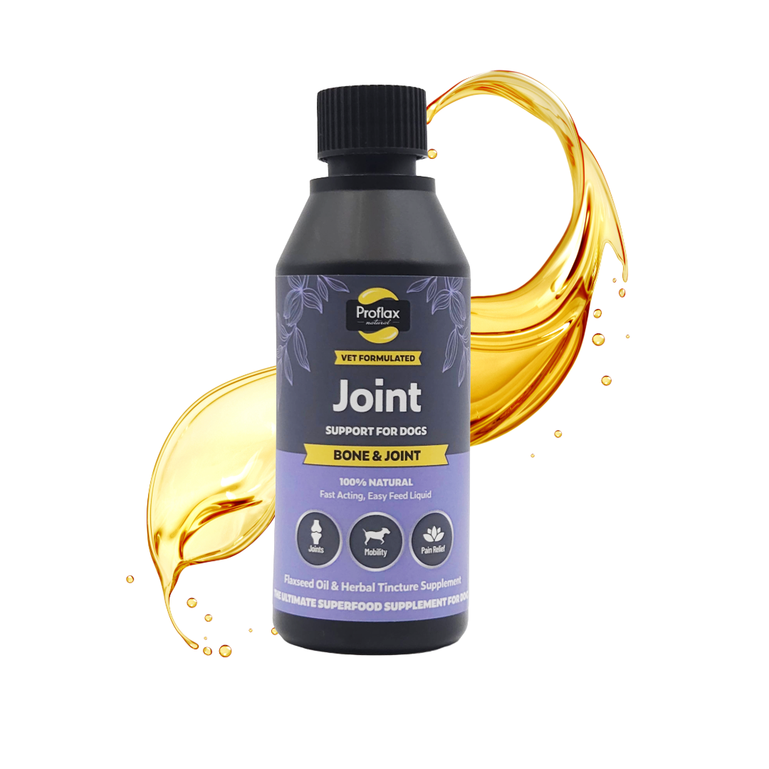 Bone, Joint & Mobility Support for Dogs