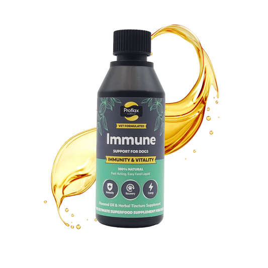 Immune & Energy Support for Dogs