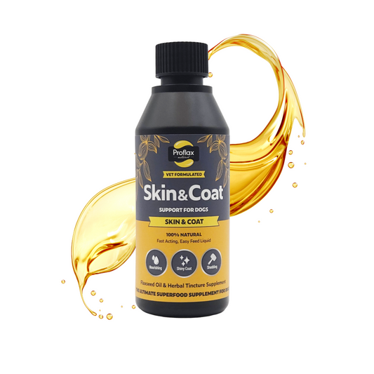 Skin & Coat Support for Dogs