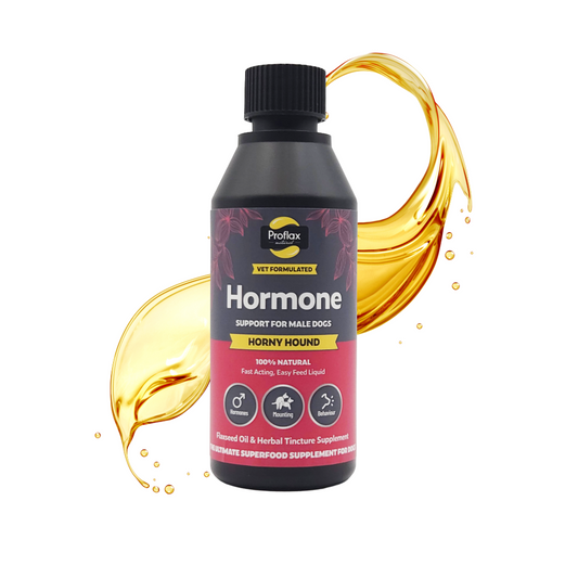 Hormone Balance for Male Dogs - Horny Hound