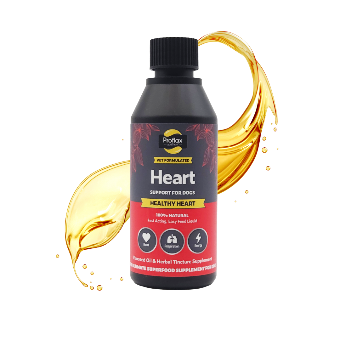 Heart & Circulation Support for Dogs - Healthy Heart
