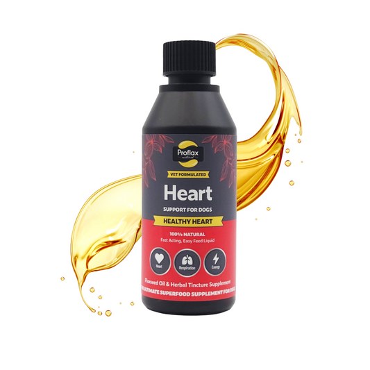 Heart & Circulation Support for Dogs - Healthy Heart