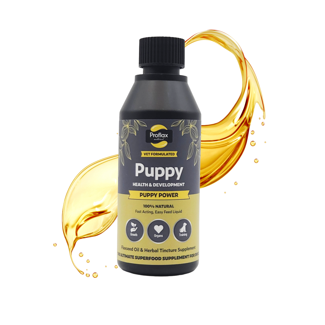 Puppy Digestion & Growth Support - Puppy Power