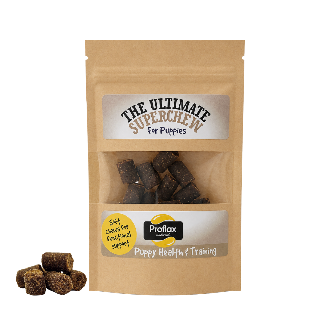 Soft Chews for Functional Support - Puppy