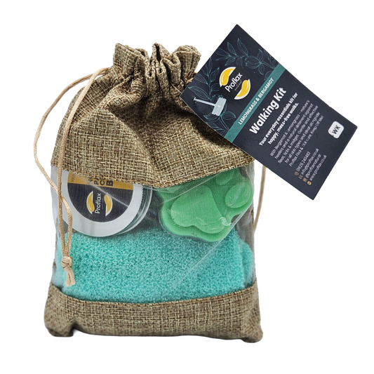 Natural Dog Walking Kit - Flea & Tick