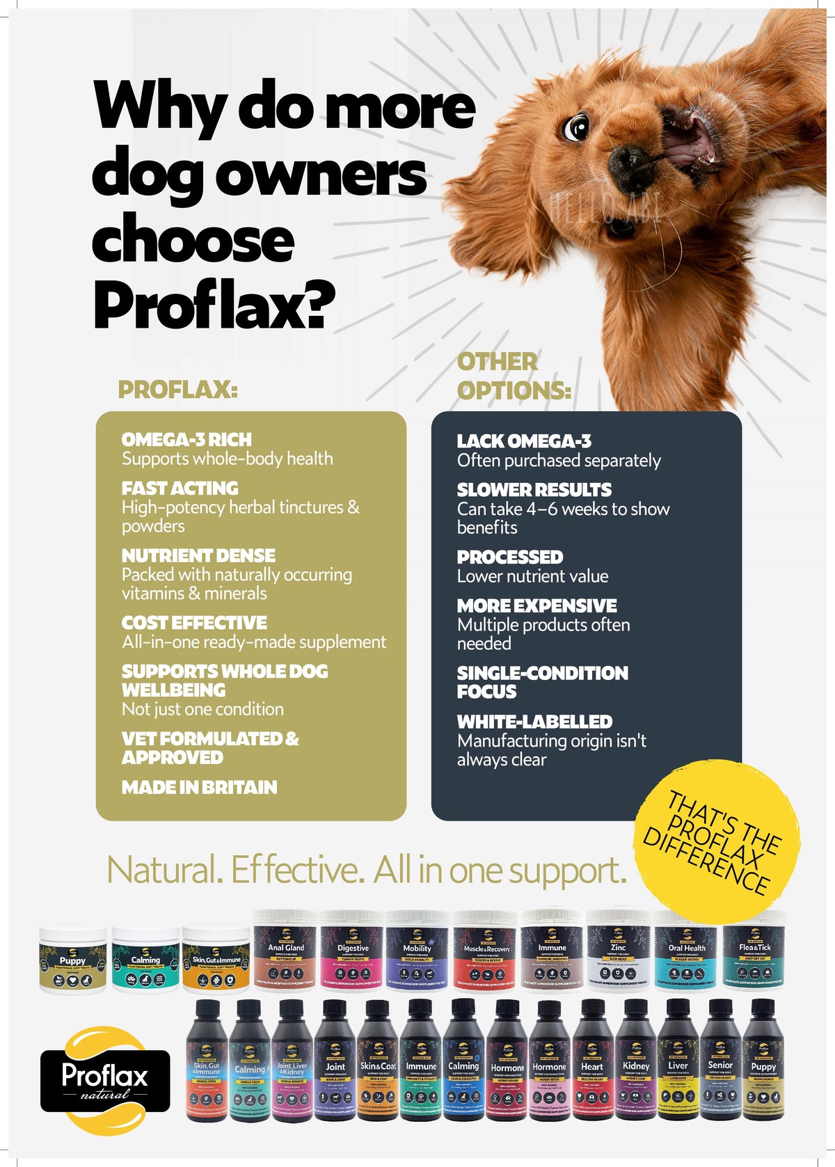 A2 Poster NEW - Choice of 5 Designs