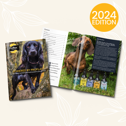 Proflax NEW Proflax Catalogue